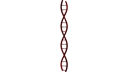 (4K) Looping DNA Molecule 6