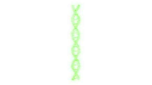 (4K) Looping DNA Molecule 8
