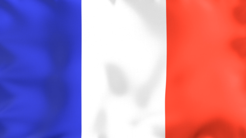 4K Looping Flag France