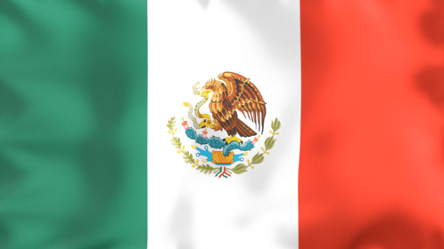 4K Looping Flag Mexico