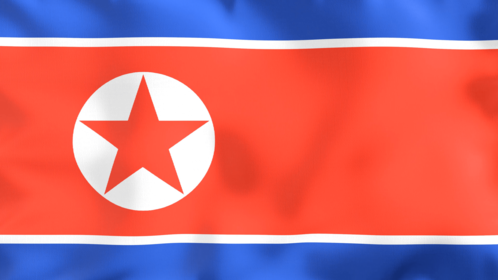 4K Looping Flag North Korea