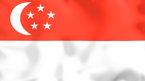 4K Looping Flag Singapore