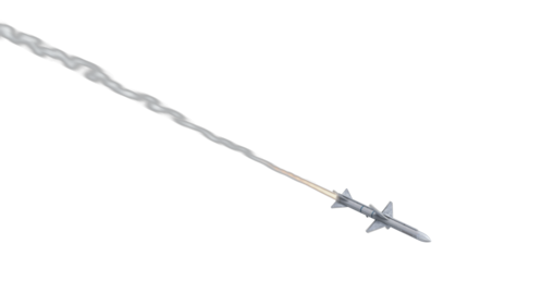 (4K) Looping Sparrow Angle Towards