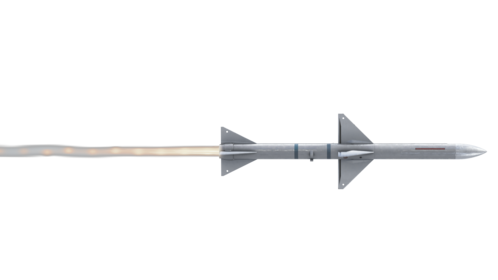 (4K) Looping Sparrow Side Fast