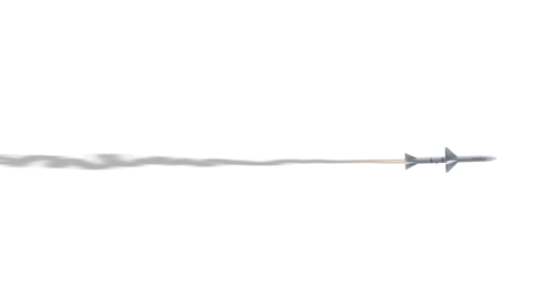 (4K) Looping Sparrow Side Wide