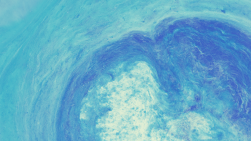 (4K) Motion Fluid 19