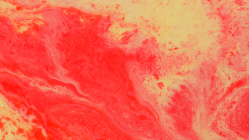 (4K) Motion Fluid 31