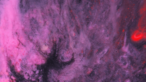 (4K) Motion Fluid 40