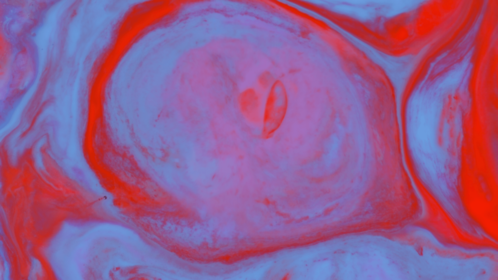 (4K) Motion Fluid 54