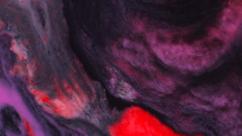 (4K) Motion Fluid 6