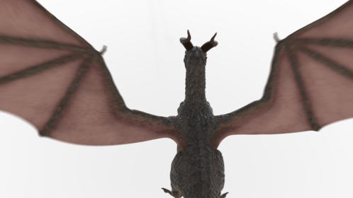 (4K) Mountain Dragon Landing Top