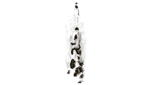 (4K) Negative Gravity Dirt 38