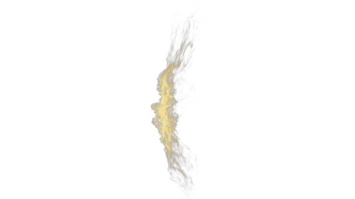 (4K) Phoenix Magic Shield Side 1