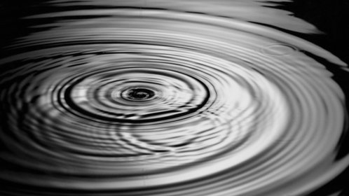 (4K) Real Rain Ripples 1