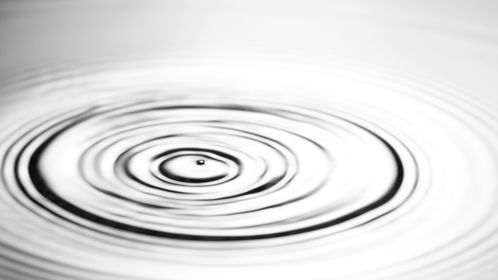 (4K) Real Rain Ripples 3