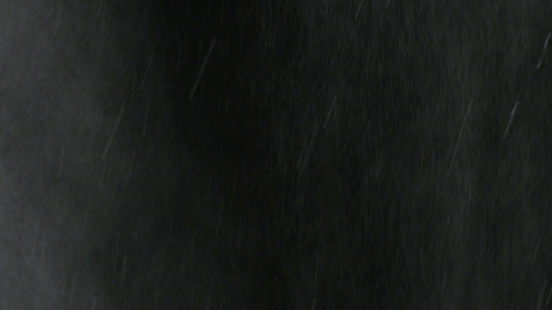(4K) Real Torrential Misty Rain 4