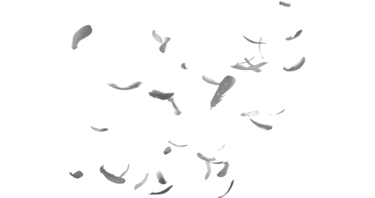 (4K) Sideways Feather Burst 10