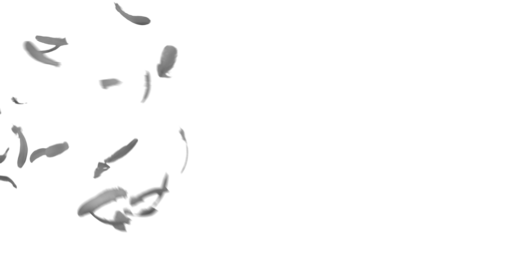 (4K) Sideways Feather Burst 8