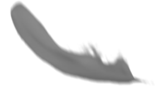 (4K) Single Feather Drop 2