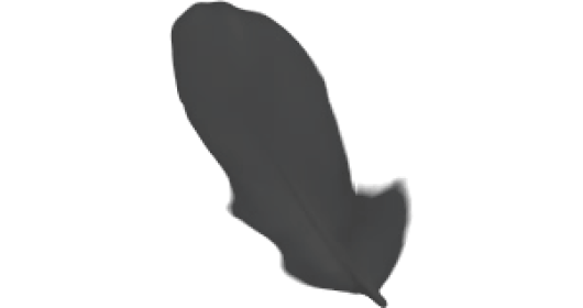 (4K) Single Feather Drop 4