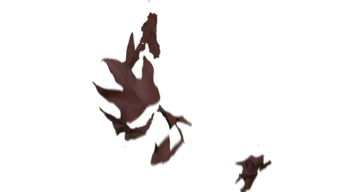 (4K) Slomo Leaves Falling 13