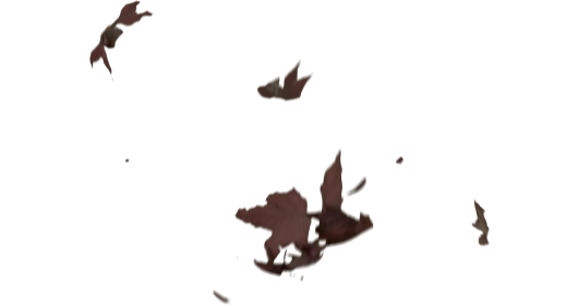 (4K) Slomo Leaves Falling 14