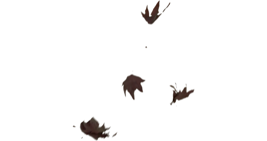 (4K) Slomo Leaves Falling 15