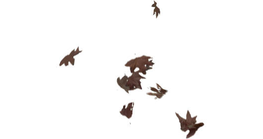 (4K) Slomo Leaves Falling 18
