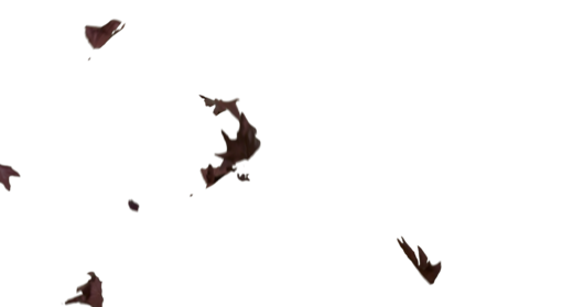 (4K) Slomo Leaves Falling 3