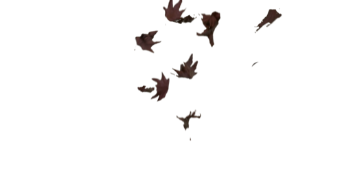 (4K) Slomo Leaves Falling 4
