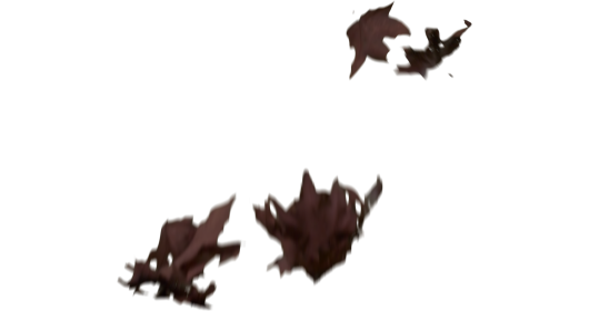 (4K) Slomo Leaves Falling 7