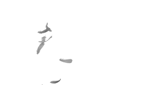 (4K) Upward Feather Burst 2