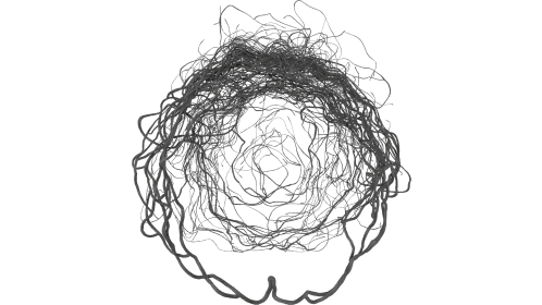(4K) Vines Growing In Circle 2