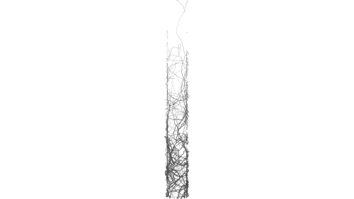 (4K) Vines Growing On Pillar 1