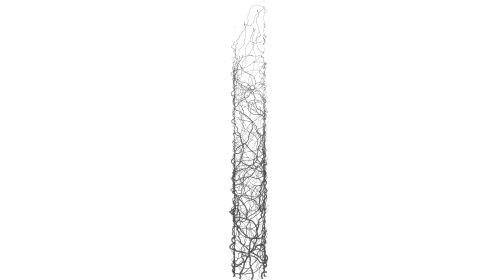 (4K) Vines Growing On Pillar 3