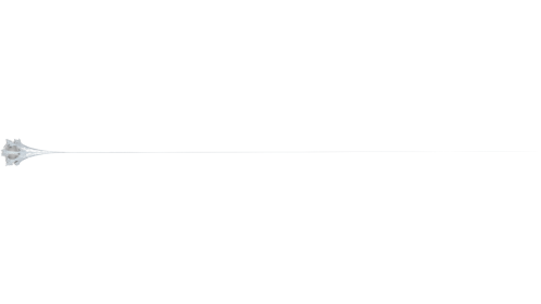 (4K) Web Style 1 Long 1