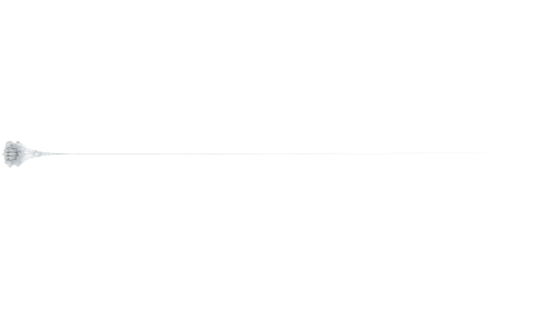 (4K) Web Style 1 Long 6