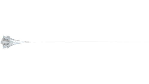 (4K) Web Style 1 Medium 1