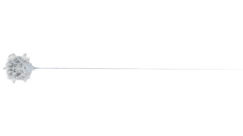 (4K) Web Style 1 Medium 6