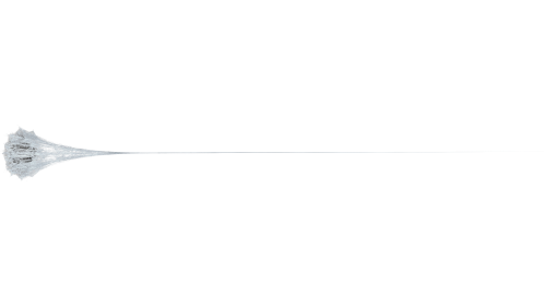 (4K) Web Style 2 Medium 1