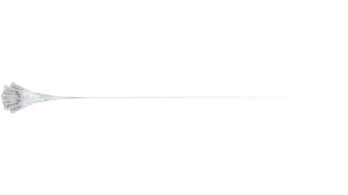 (4K) Web Style 2 Medium 3