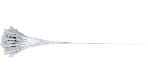(4K) Web Style 2 Short 7