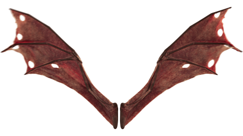 (4K) Demon Wings Red Front Flapping