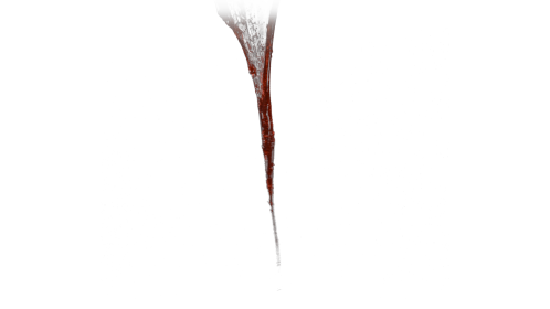 (4K) Bloody Slime Drip 1