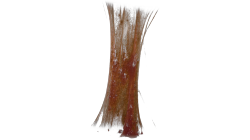 (4K) Bloody Vertical Slime Pull 1