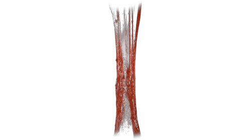 (4K) Bloody Vertical Slime Pull 10