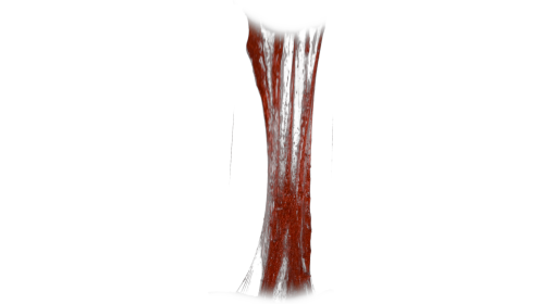 (4K) Bloody Vertical Slime Pull 12