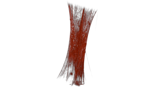 (4K) Bloody Vertical Slime Pull 2