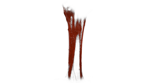 (4K) Bloody Vertical Slime Pull 5