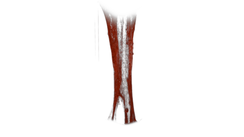 (4K) Bloody Vertical Slime Pull 6